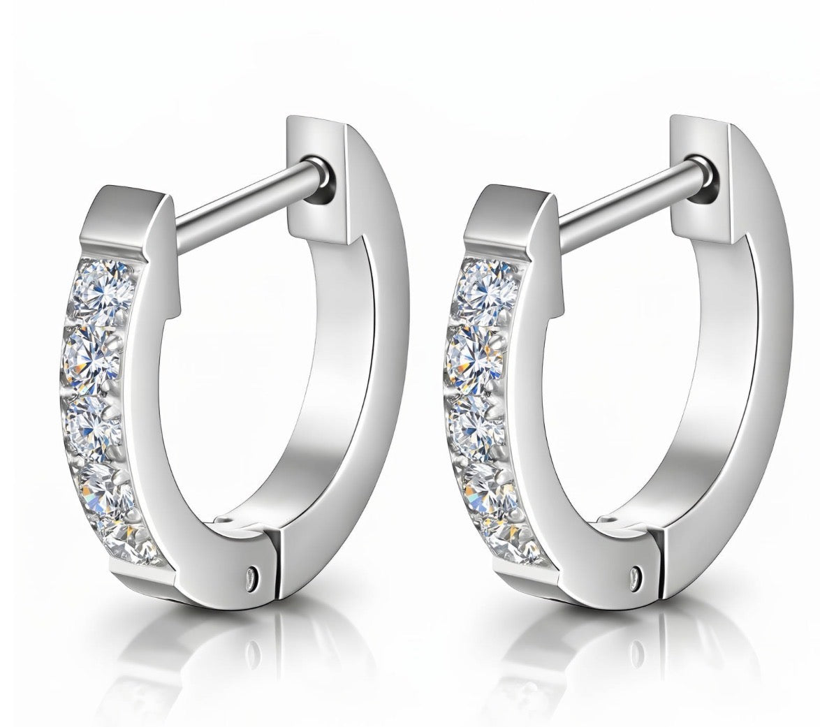 Fashion Jewelry Silver Stainless Steel Earrings