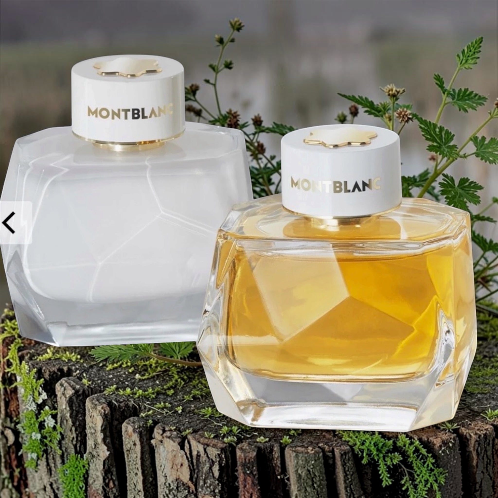 Womens Fragrances Mon Blanc Signature Absolue 3.0 oz